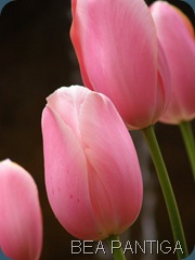P5030021