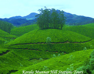 Kerala Munnar Hill Stations Tours