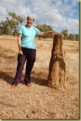 Termite Mound and Pat