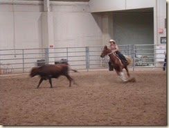 Day 1 get that cow
