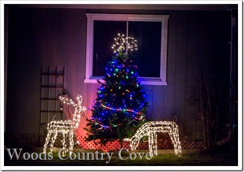 DECEMBER 2014 (1 of 3)