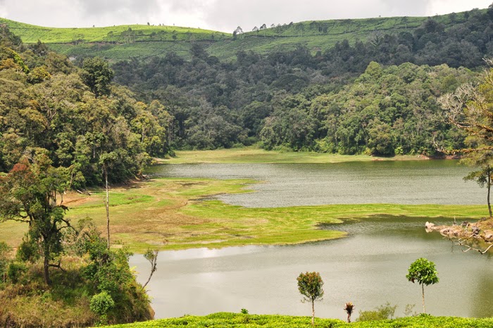 Wisata Alam Situ  Patengan Patenggang  Bandung  Yoshiewafa