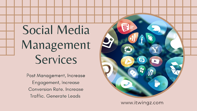 Social Media Management Services 