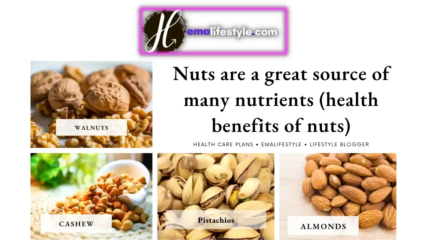 Which nuts have the greatest health benefits?, health benefits of nuts, nuts are healthy, what are the healthiest nuts to eat, Foods to maintain mental health, Cashew Nuts benefits for weight loss, Health Benefits of Brazil Nuts, health benefits of pistachios, health benefits of walnuts, health benefits of almonds, best nuts for weight loss and lose belly fat, are pecans good for you?, peanut benefits for the brain, nuts and seeds