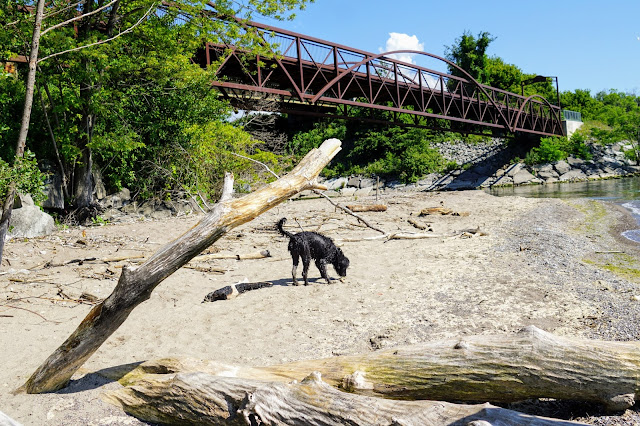 Semi secluded beach near footbridges on Lake Ontario