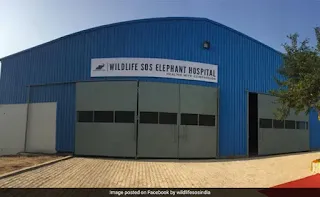 India's first specialized hospital for Elephants opened in Mathura