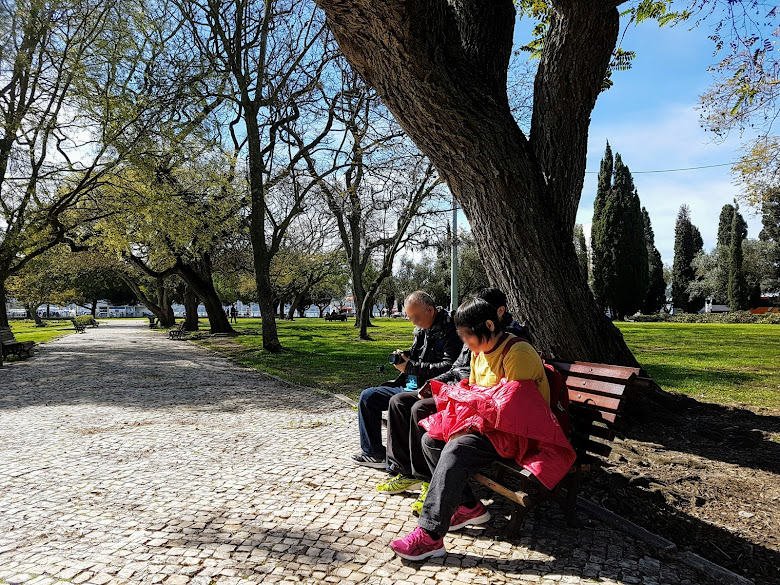 公園休息，曬太陽挺舒服的