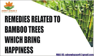 REMEDIES RELATED TO BAMBOO TREES WHICH BRING HAPPINESS AND PROSPERITY