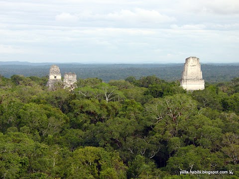 3 magnificent Mayan cities / 3 bámulatos maja város: TIKAL, CHICHEN ITZA, UXMAL