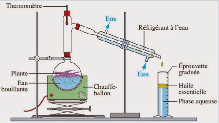 essentielles des huiles l'extraction Séparation des espèces Extraction, identification et