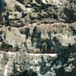 View album