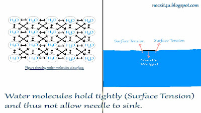 surface tension of water