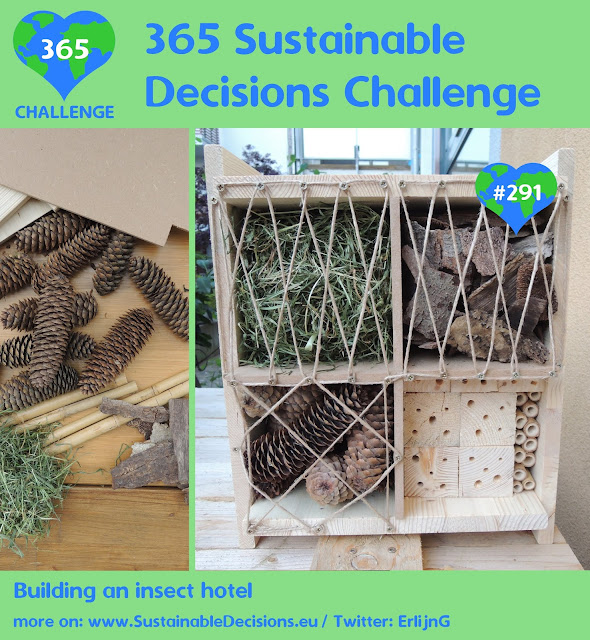 Building an insect hotel, sustainability, sustainable living, climate action, saving insects