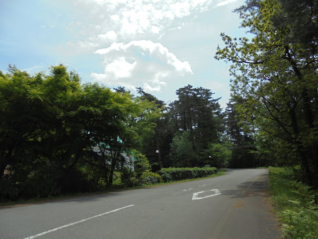 歩道が終わりこの道を直進します