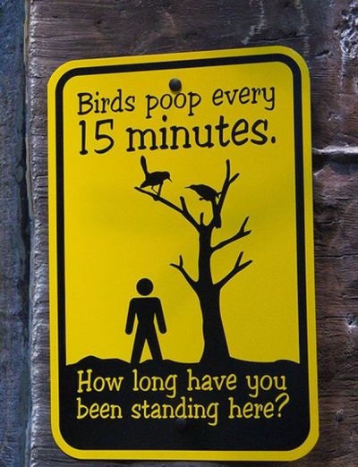 birds-poop-sign