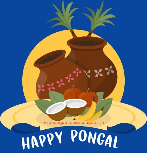 Happy Pongal Images 2023 HD