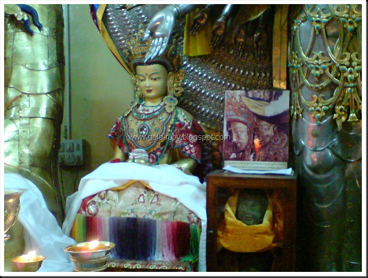 DSC02007
