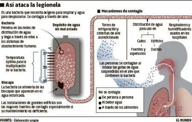 Resultado de imagen de Fiebre de Pontiac"