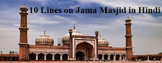 10 Lines on Jama Masjid in Hindi