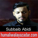 https://humaliwalaazadar.blogspot.com/2019/08/subbaib-abidi-nohay-2020.html