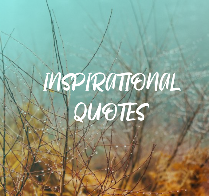 30+  BEST Short Inspirational Quotes for Living Life to the Fullest