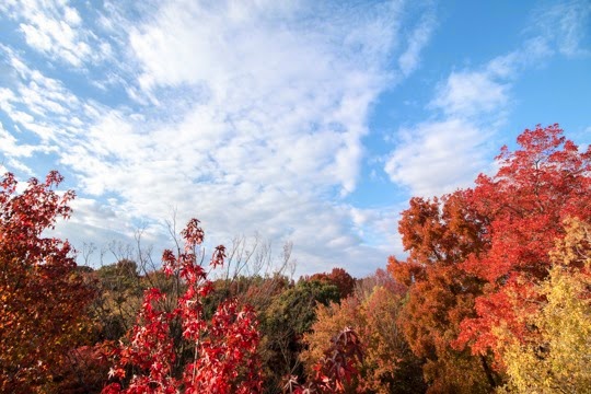 20141119-IMG_2758