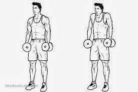 Dumbbell shrug