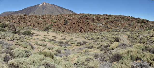 7 CAÑADAS  RUTA 4. PARQUE NACIONAL DEL TEIDE, Cañada de la Camellita