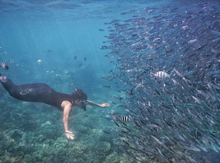 wisata-karimunjawa