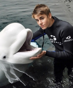 tierno justin bieber con un delfin beluga