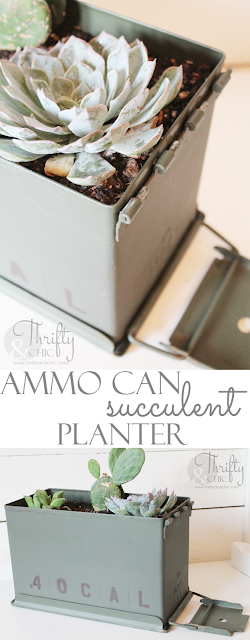 Use an ammo can as a planter for succulents! Great gift idea dads and men!