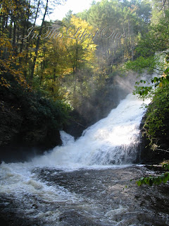Digman's Ferry Falls
