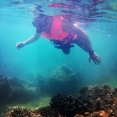 snorkeling pulau panjang