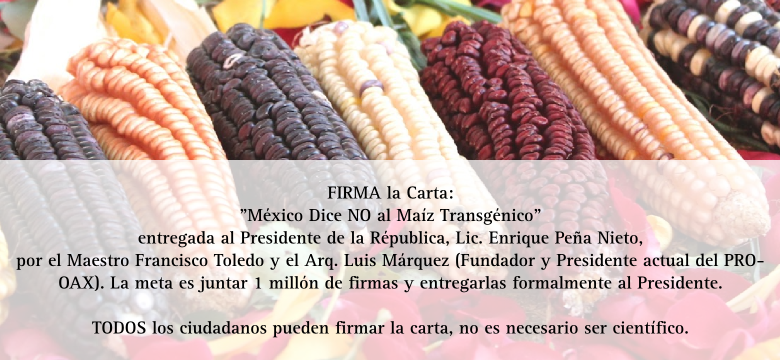  Firma la carta