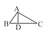 wbbse-class7-model-activity-task-part5-august-month-solutions