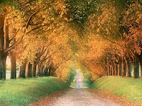 Autumn Desktop Pictures1