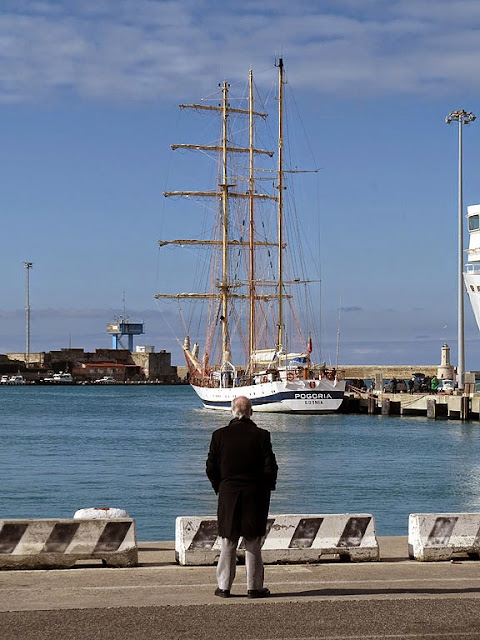 STS Pogoria, IMO 7911210, porto di Livorno