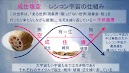 世界は、まわりてめくる、想いも・・・