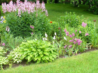 Seasonal annuals and perennials delight 