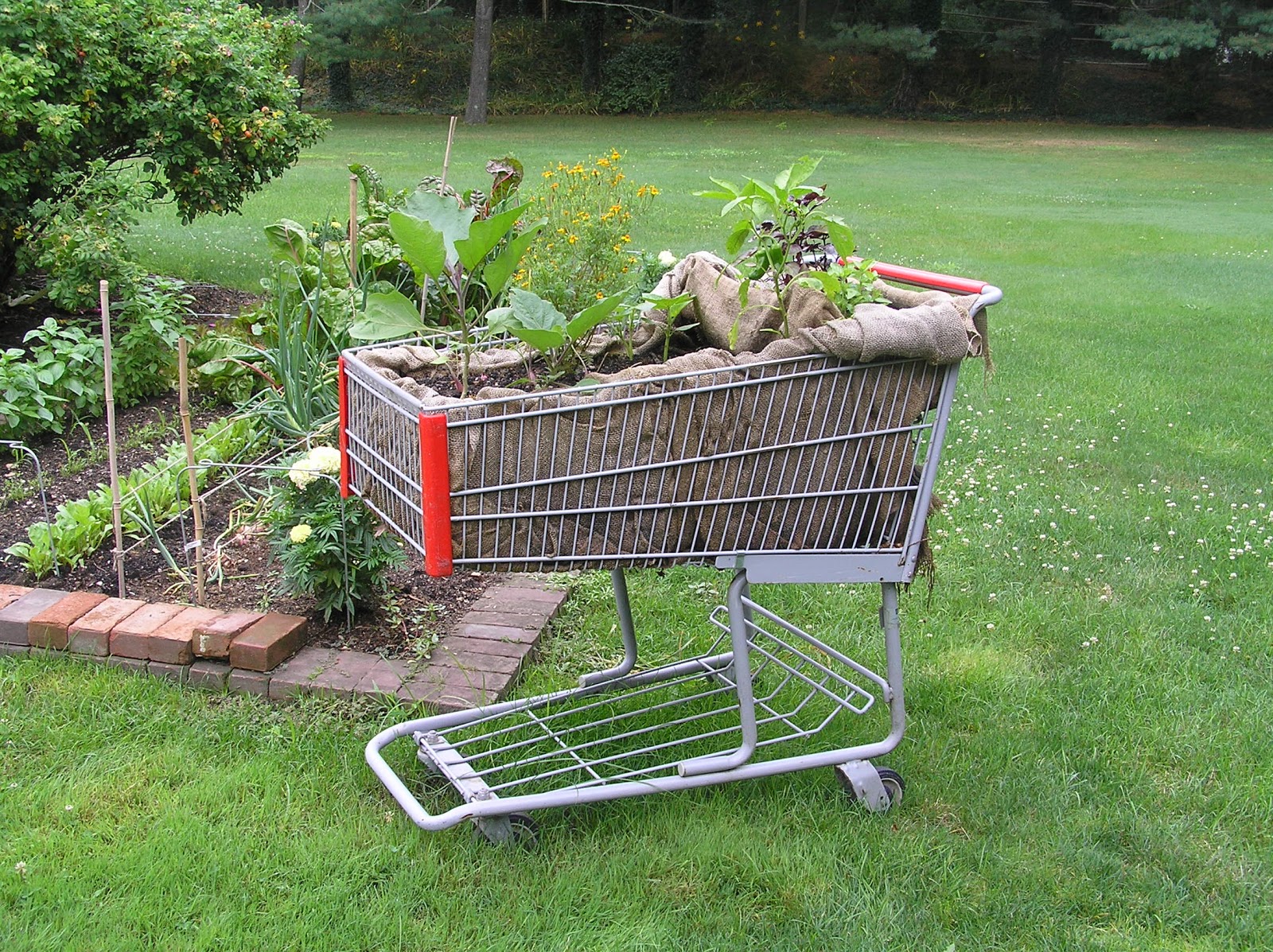 Old Country Gardens: Raised beds & Edging materials