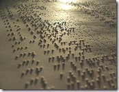 Braille - Flickr image by Tiggtag
