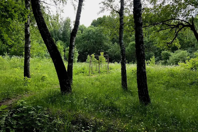 парк Битцевский лес, посёлок Узкое, качели