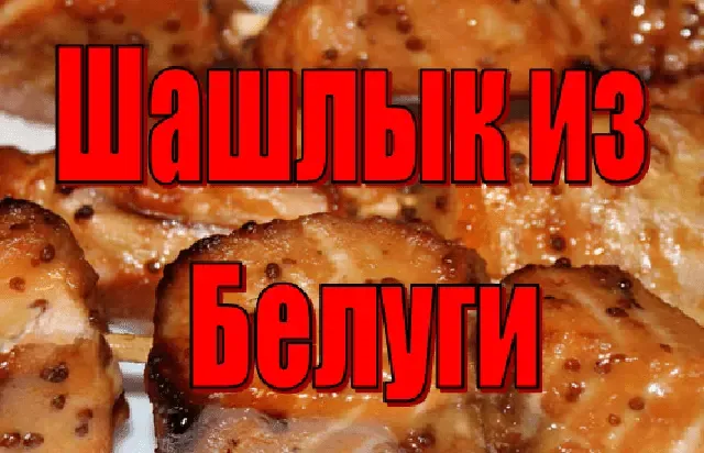 Шашлык из белуги