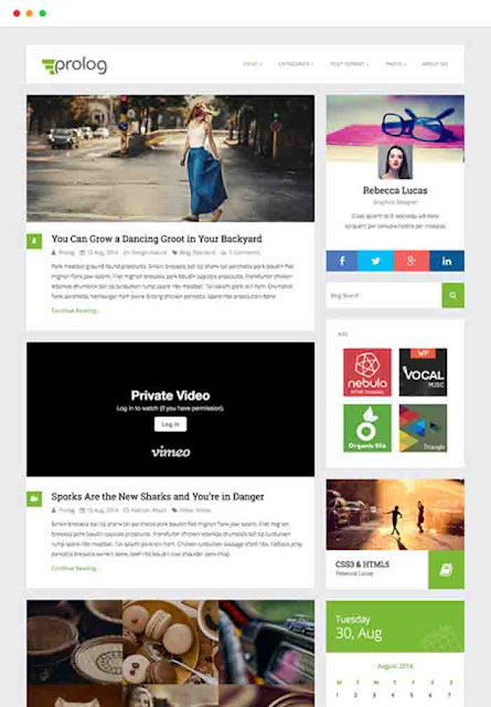 Pro log wordpress theme free Download