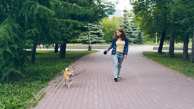 Dog and Girl Walking on Pavement