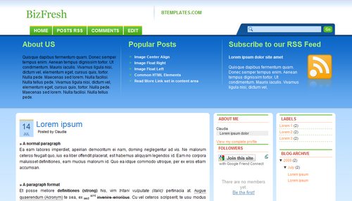 BizFresh Blogger Template 