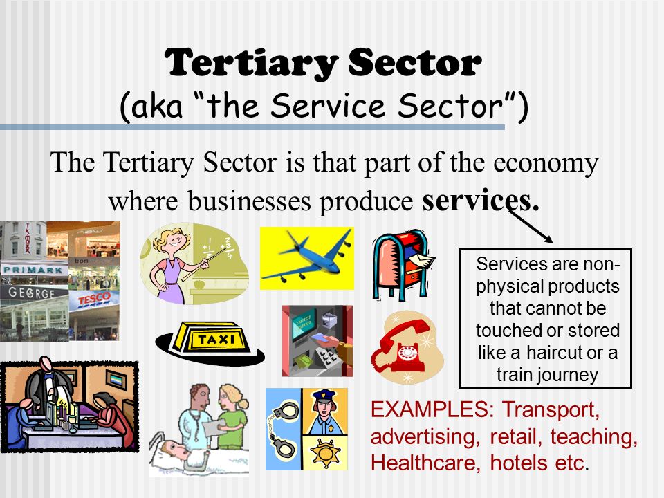 Primary, Secondary, Tertiary, Quaternary & Quinary Sectors ...