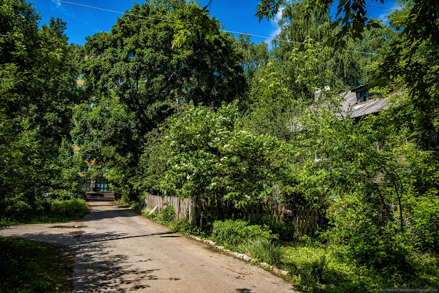 Улица среди зданий и высоких кустарников