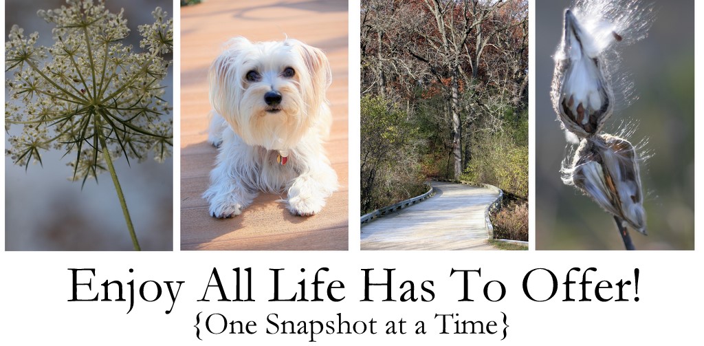 Enjoy All Life Has to Offer!