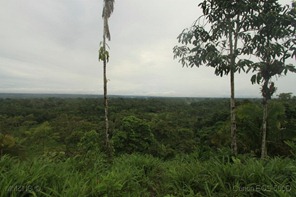IMG_2285